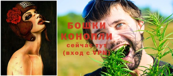 соль ск Арсеньев